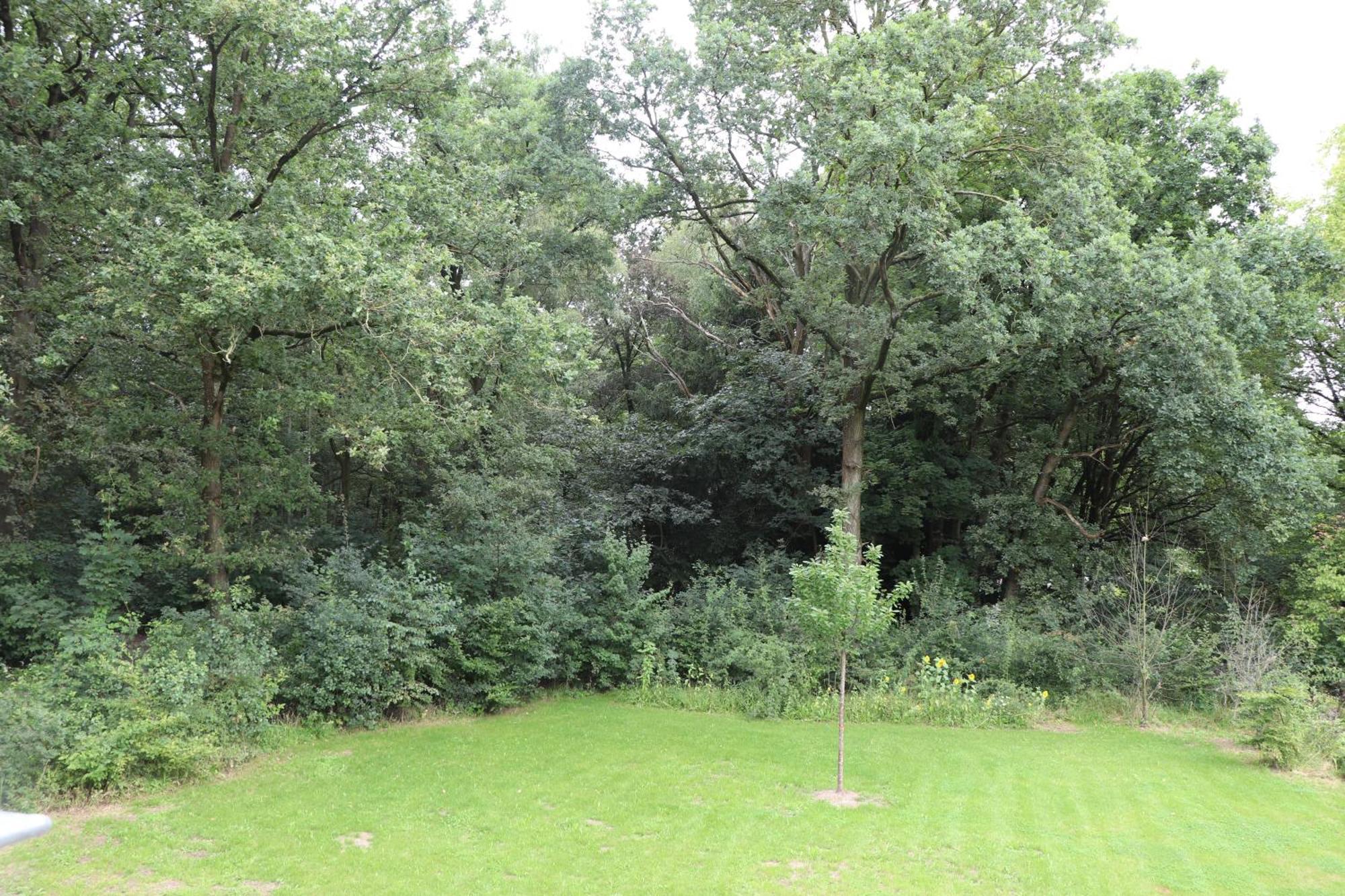 Wijkd Apartment Leende Bagian luar foto